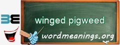 WordMeaning blackboard for winged pigweed